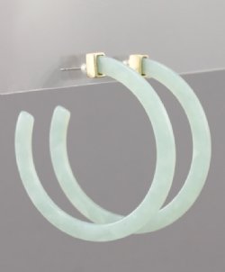 Spring Tortoise Hoop Earrings